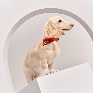 犬用バンダナ 《マイヨン》 XS | Hermès - エルメス-公式サイト